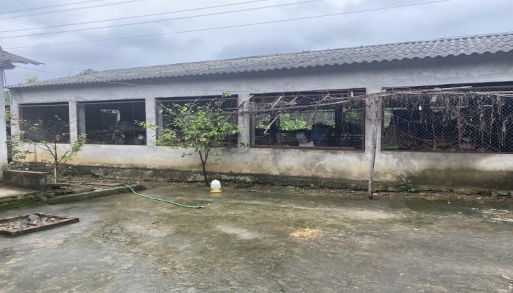 Bán Đất Xã Hòa Sơn , Lương Sơn , Hòa Bình .  Dt  2200m2